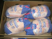 فروش مرغ منجمد صادراتی